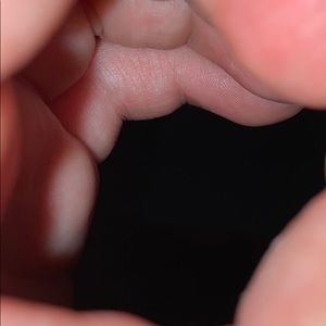 Meet your Posher, Joey